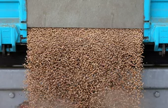 Σχεδόν 25 εκατ. τόνοι σιτηρών είναι αποκλεισμένοι στην Ουκρανία, σύμφωνα με τον ΟΗΕ