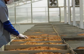 βιομηχανία