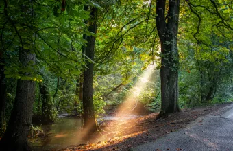 Εκδήλωση για την κλιματική αλλαγή