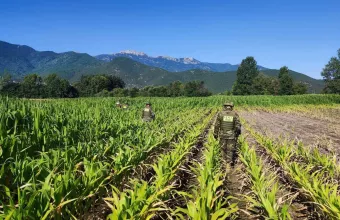 Antonov: Μονάδες εκκαθάρισης ναρκοπεδίων στην Καβάλα 