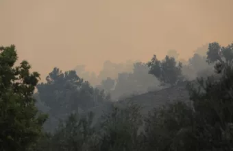 Φωτιά στη Λέσβο