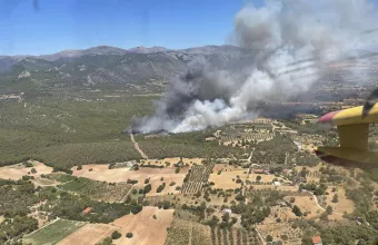 Φωτιά τώρα στα Μέγαρα
