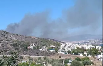 Φωτιά στην Σαλαμίνα: Σε Θέατρο και Μύλους μαίνεται το πύρινο μέτωπο