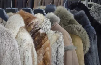 Παρατείνεται η αναστολή συμβάσεων εργασίας στον κλάδο της γουνοποιίας