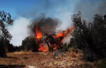  Άνω Γλυφάδα: 2 ύποπτοι για τη φωτιά- Δεν υπάρχουν συλλήψεις
