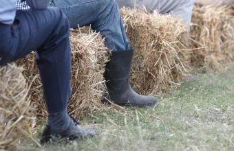 Κτηνοτροφικές εγκαταστάσεις