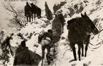Μουλάρια και άλογα από την Κρήτη στον πόλεμο