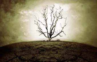 H ακραία ζέστη αποτελεί έναν «σιωπηλό δολοφόνο» 