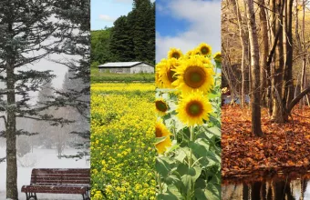 Πρόγνωση Καιρού