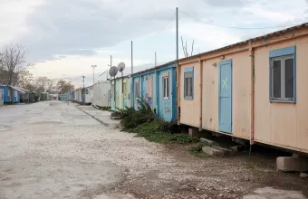 Δομή Ελαιώνα 