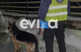 Κακοκαιρία Μπάρμπαρα: Ηλικιωμένος στην Εύβοια αγνοείται στα χιόνια