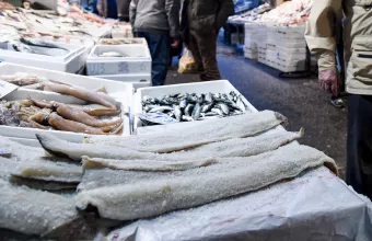 ΜΠΑΚΑΛΙΑΡΟΣ 