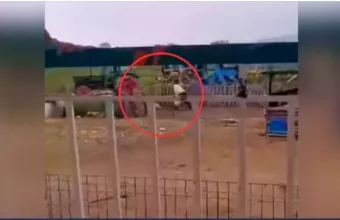 Λαγκαδάς: Σκληρή κακοποίηση σκύλου από τον νιδιοκτήτη του - Βίντεο σοκ 