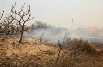 Ρόδος φωτιά