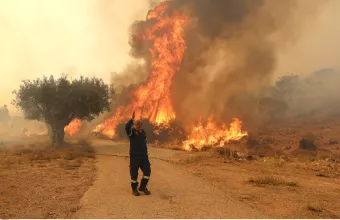 φωτιά- Μάνδρα