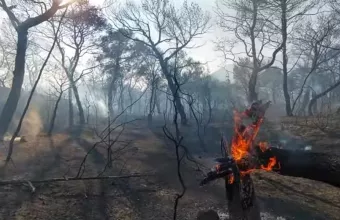 Πυρκαγιά Λουτρακι