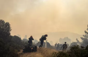 Φωτιά στον Δοκό Χαλκίδας: Προσήχθη 48χρονος ύποπτος για εμπρησμό