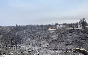 Ρόδος: 135.000 στρέμματα δασικής έκτασης κάηκαν στο νησί, σύμφωνα με υπολογισμούς του πανεπιστημίου Αθηνών - Δηλώσεις Ευθύμιου Λέκκα