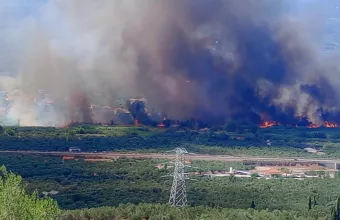 Φωτιά στην Ασπροπουλιά Μεσσηνίας