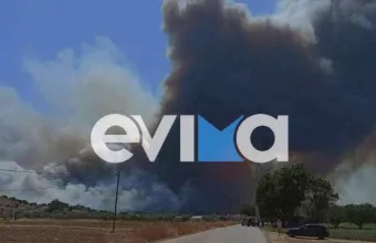 Φωτιά στα Ψαχνά Ευβοίας: Σοβαρές ζημιές σε επιχειρήσεις
