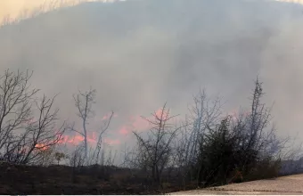 Οι φωτιές...στη βουλή