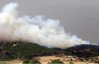 Φωτιά στον Έβρο: Άκαυτο το 42%, του Δάσους της Δαδιάς