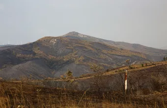 Φωτιά στον Έβρο