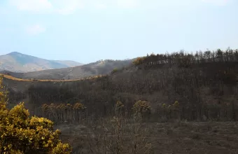 Έσβησε η φωτιά στον Έβρο- Σε επιφυλακή η πυροσβεστική για αναζωπυρώσεις