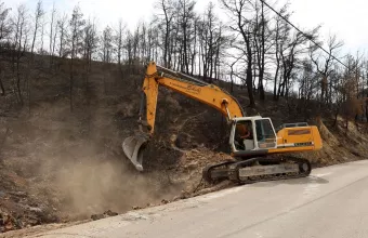 παρνηθα καμμενα
