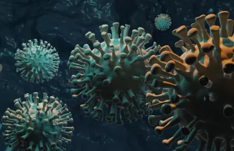 ανοσοποιητικό