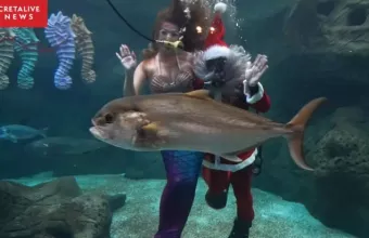 Ενυδρείο Κρήτης