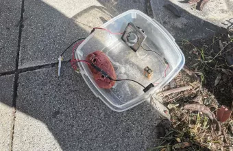 μηχανισμός ελασ