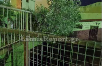 Λαμία σχολείο