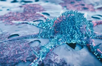 Αρχαίος Ιός