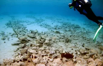 παυλοπετρι 