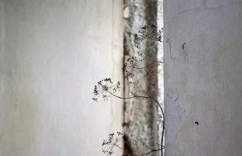 «Intimate views»: Έκθεση φωτογραφίας στην Κέρκυρα, για την Κέρκυρα 