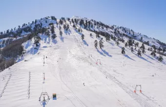 Χιονοδρομικό