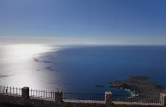 Κρήτη: 3 νεκρά δελφίνια ξεβράστηκαν σε παραλία των Χανίων