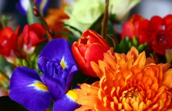 εορτολόγιο