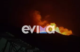 Εύβοια: Φωτιά σε δασική έκταση στους Καλλιανούς 