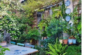 Δήμος Αθηναίων