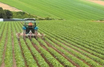 ΟΠΕΚΕΠΕ: Οι «ταρίφες» των κυκλωμάτων