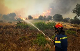 Πυρκαγιά στην Αργολίδα