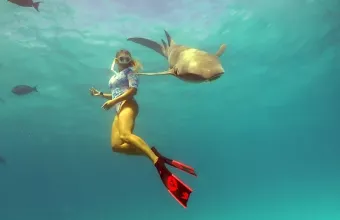 Κατερίνα Τοπούζογλου Καρχαρίες