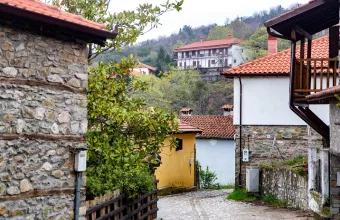 ΠΑΛΑΙΟΣ ΠΑΝΤΕΛΕΗΜΟΝΑΣ ΠΙΕΡΙΑΣ