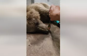 Τα μέλη του ΑΡΚΤΟΥΡΟΥ την ονόμασαν Κίρκη γιατί τα… μάγεψε! 