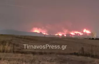 Τύρναβος φωτιά