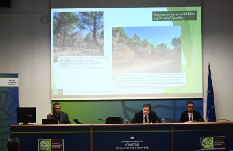 πρόγραμμα Αντινέρο