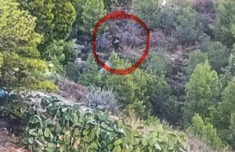 φωτιά Υμηττός