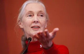 Jane Goodall